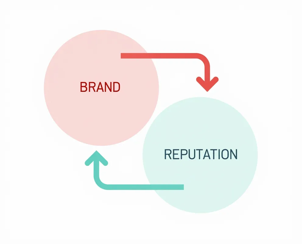 The Brand-Reputation Cycle